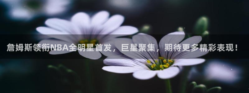 詹姆斯领衔NBA全明星首发，巨星聚集，期待更多精彩表现！