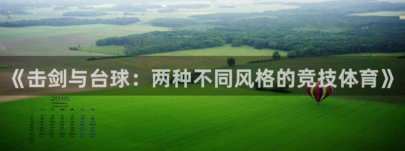 《击剑与台球：两种不同风格的竞技体育》