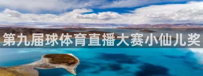 第九届球体育直播大赛小仙儿奖