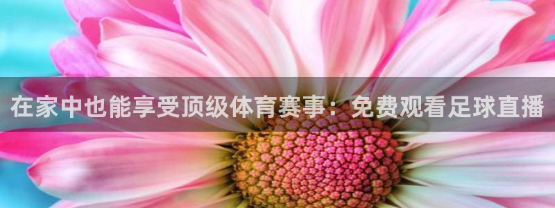 在家中也能享受顶级体育赛事：免费观看足球直播