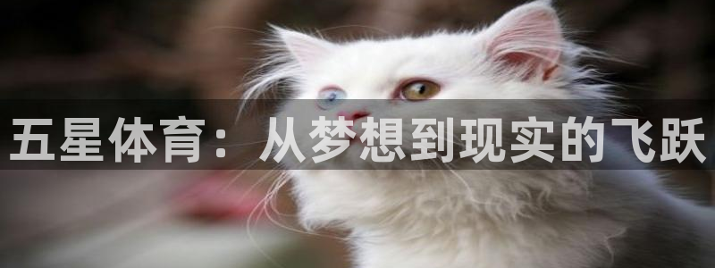 五星体育：从梦想到现实的飞跃
