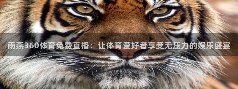 雨燕360体育免费直播：让体育爱好者享受无压力的娱乐盛宴