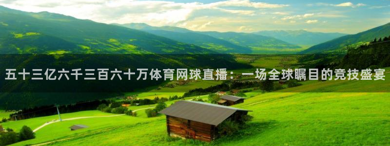 五十三亿六千三百六十万体育网球直播：一场全球瞩目的竞技盛宴
