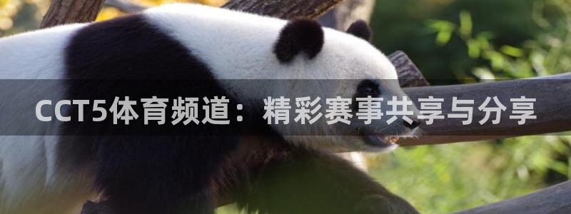 CCT5体育频道：精彩赛事共享与分享