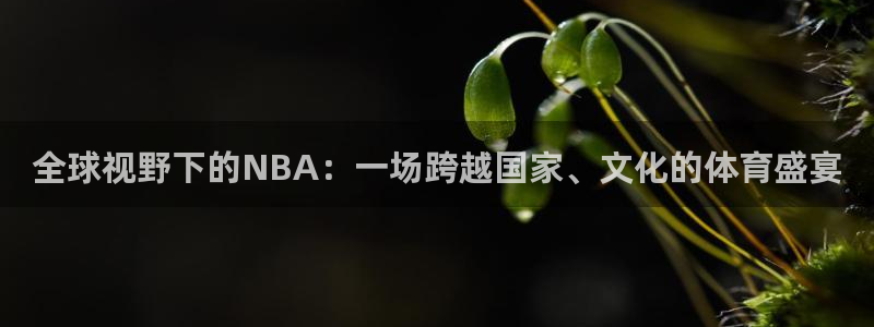全球视野下的NBA：一场跨越国家、文化的体育盛宴