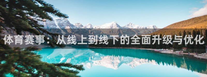 体育赛事：从线上到线下的全面升级与优化