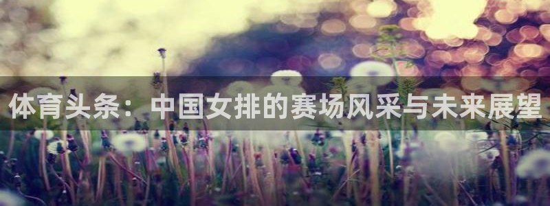体育头条：中国女排的赛场风采与未来展望