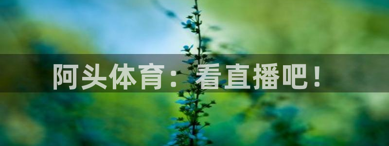 阿头体育：看直播吧！
