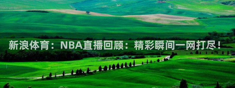 新浪体育：NBA直播回顾：精彩瞬间一网打尽！