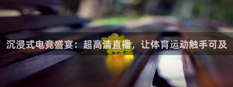 沉浸式电竞盛宴：超高清直播，让体育运动触手可及