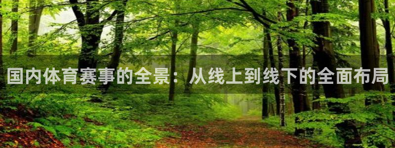 国内体育赛事的全景：从线上到线下的全面布局