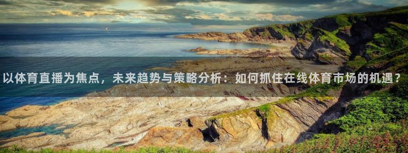 以体育直播为焦点，未来趋势与策略分析：如何抓住在线体育市场的机遇？