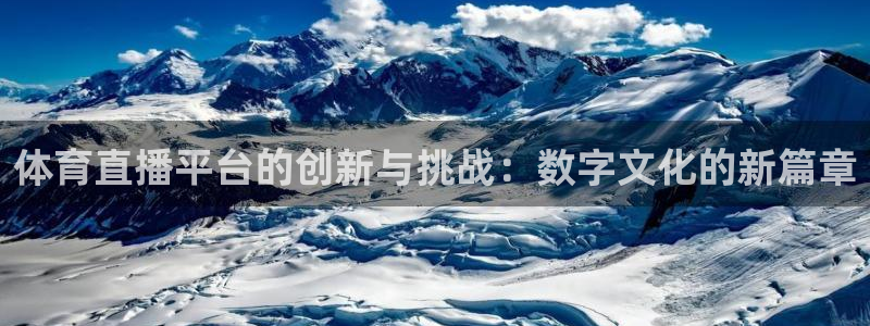 体育直播平台的创新与挑战：数字文化的新篇章