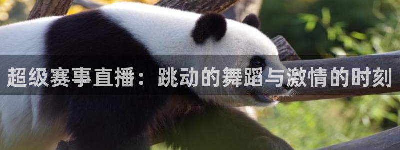 超级赛事直播：跳动的舞蹈与激情的时刻
