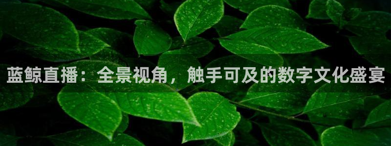 蓝鲸直播：全景视角，触手可及的数字文化盛宴