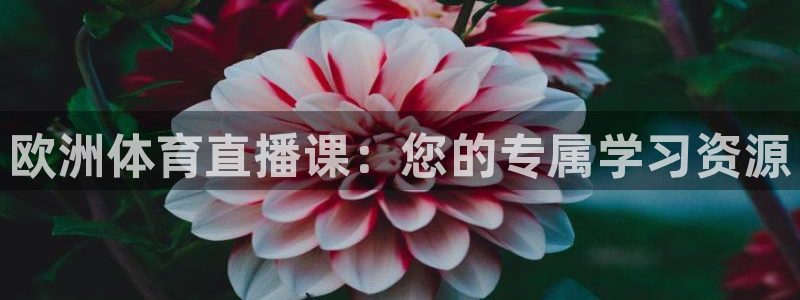 欧洲体育直播课：您的专属学习资源