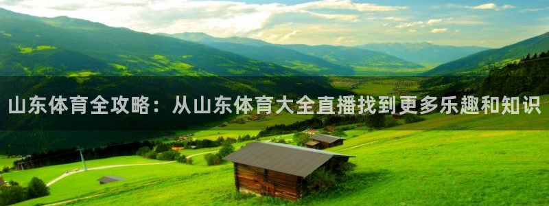 山东体育全攻略：从山东体育大全直播找到更多乐趣和知识