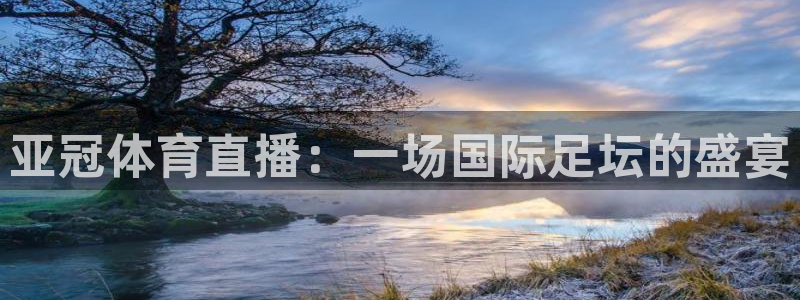 亚冠体育直播：一场国际足坛的盛宴