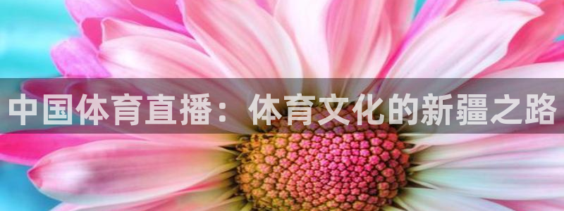 中国体育直播：体育文化的新疆之路