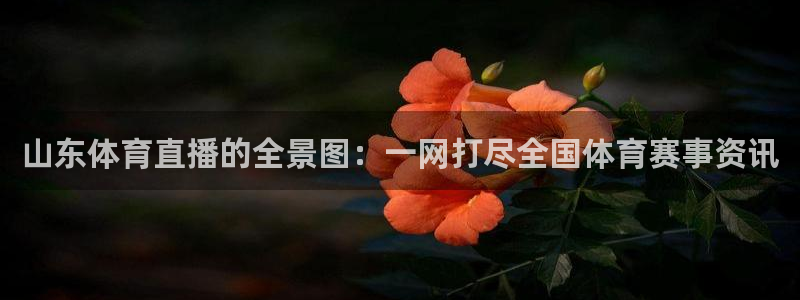 山东体育直播的全景图：一网打尽全国体育赛事资讯