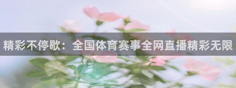 精彩不停歇：全国体育赛事全网直播精彩无限