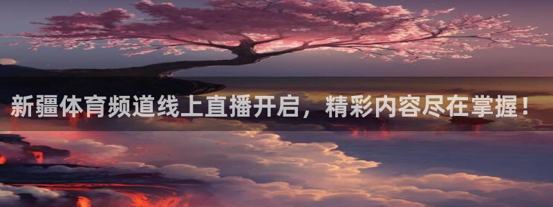 新疆体育频道线上直播开启，精彩内容尽在掌握！