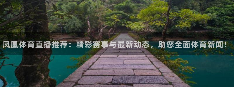 凤凰体育直播推荐：精彩赛事与最新动态，助您全面体育新闻！