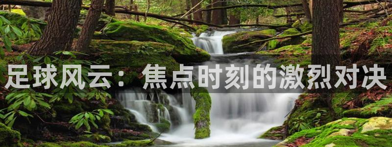 足球风云：焦点时刻的激烈对决