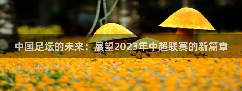 中国足坛的未来：展望2023年中超联赛的新篇章