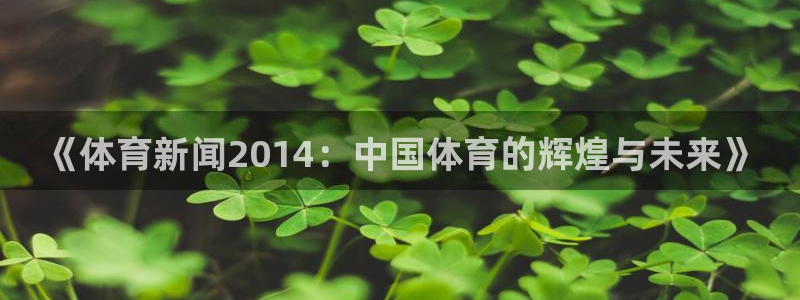 《体育新闻2014：中国体育的辉煌与未来》