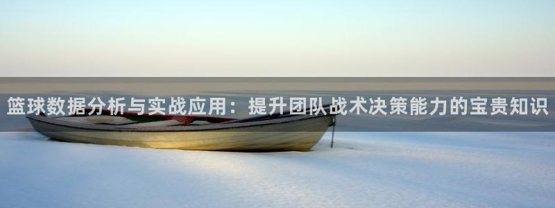 篮球数据分析与实战应用：提升团队战术决策能力的宝贵知识