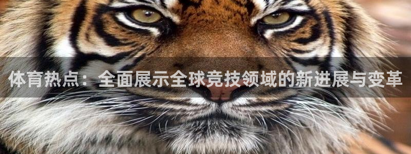 体育热点：全面展示全球竞技领域的新进展与变革