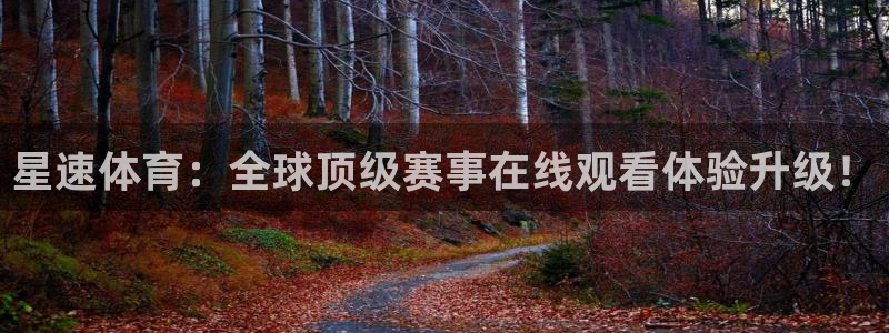 星速体育：全球顶级赛事在线观看体验升级！