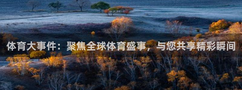 体育大事件：聚焦全球体育盛事，与您共享精彩瞬间