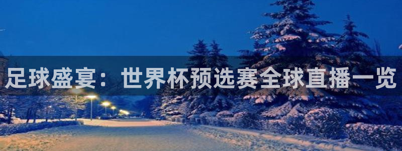 足球盛宴：世界杯预选赛全球直播一览