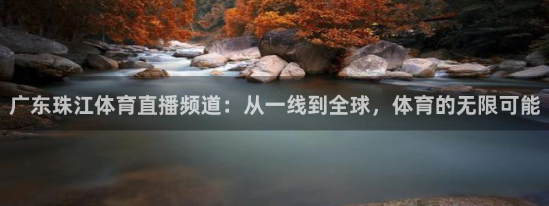 广东珠江体育直播频道：从一线到全球，体育的无限可能