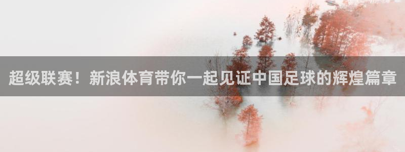 超级联赛！新浪体育带你一起见证中国足球的辉煌篇章