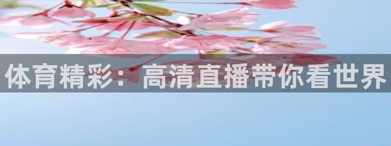 体育精彩：高清直播带你看世界