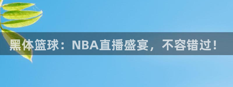 黑体篮球：NBA直播盛宴，不容错过！