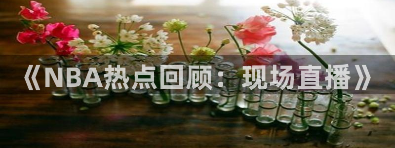 《NBA热点回顾：现场直播》
