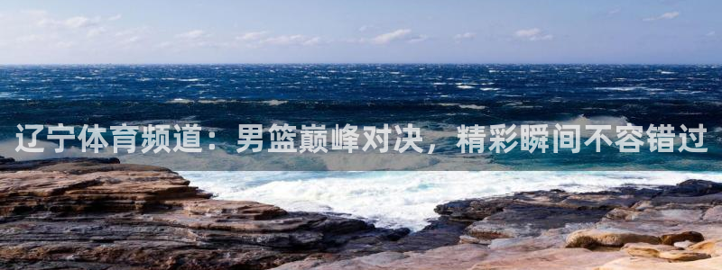 辽宁体育频道：男篮巅峰对决，精彩瞬间不容错过