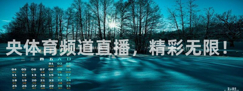 央体育频道直播，精彩无限！