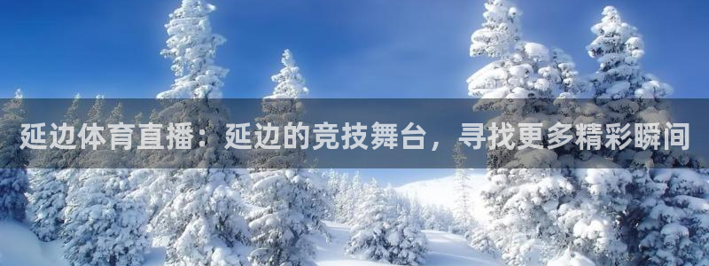 延边体育直播：延边的竞技舞台，寻找更多精彩瞬间