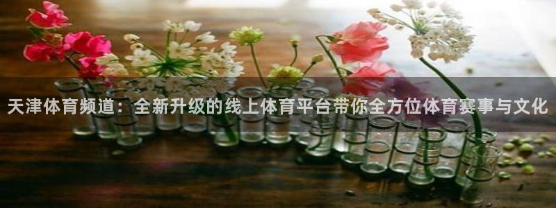 天津体育频道：全新升级的线上体育平台带你全方位体育赛事与文化
