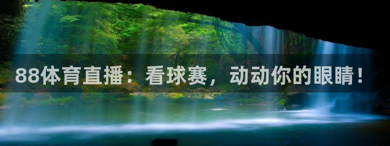 88体育直播：看球赛，动动你的眼睛！
