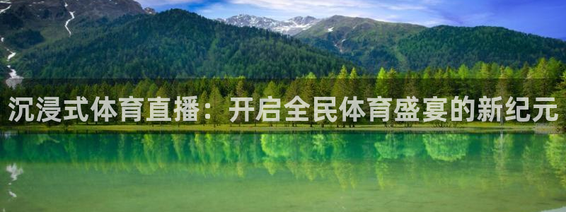 沉浸式体育直播：开启全民体育盛宴的新纪元