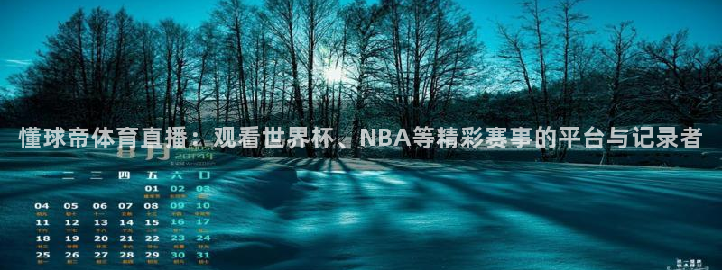 懂球帝体育直播：观看世界杯、NBA等精彩赛事的平台与记录者