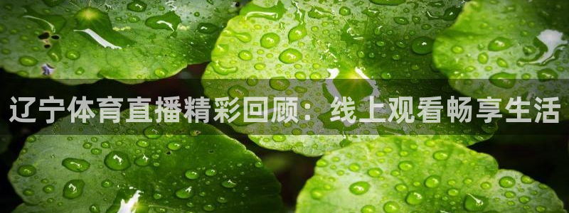 辽宁体育直播精彩回顾：线上观看畅享生活
