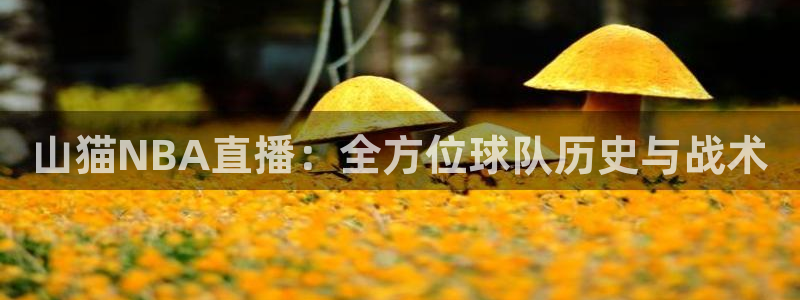 山猫NBA直播：全方位球队历史与战术
