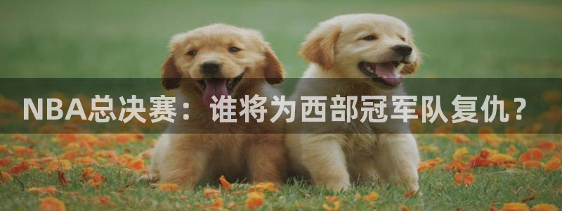 NBA总决赛：谁将为西部冠军队复仇？